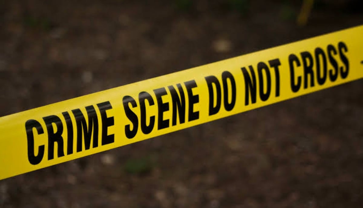 Georgia grandmother charged over toddler grandson's drowning