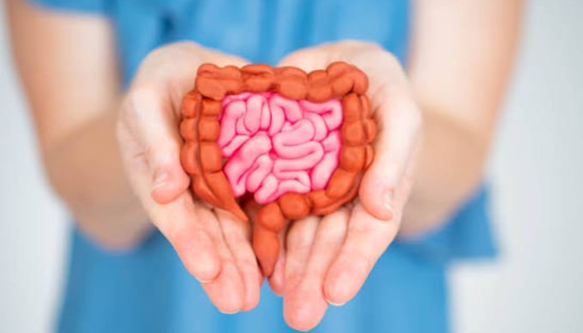 5 expert-backed habits that can transform your gut health