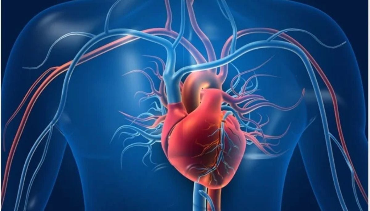 Cardiologist lists 15 habits harming your heart
