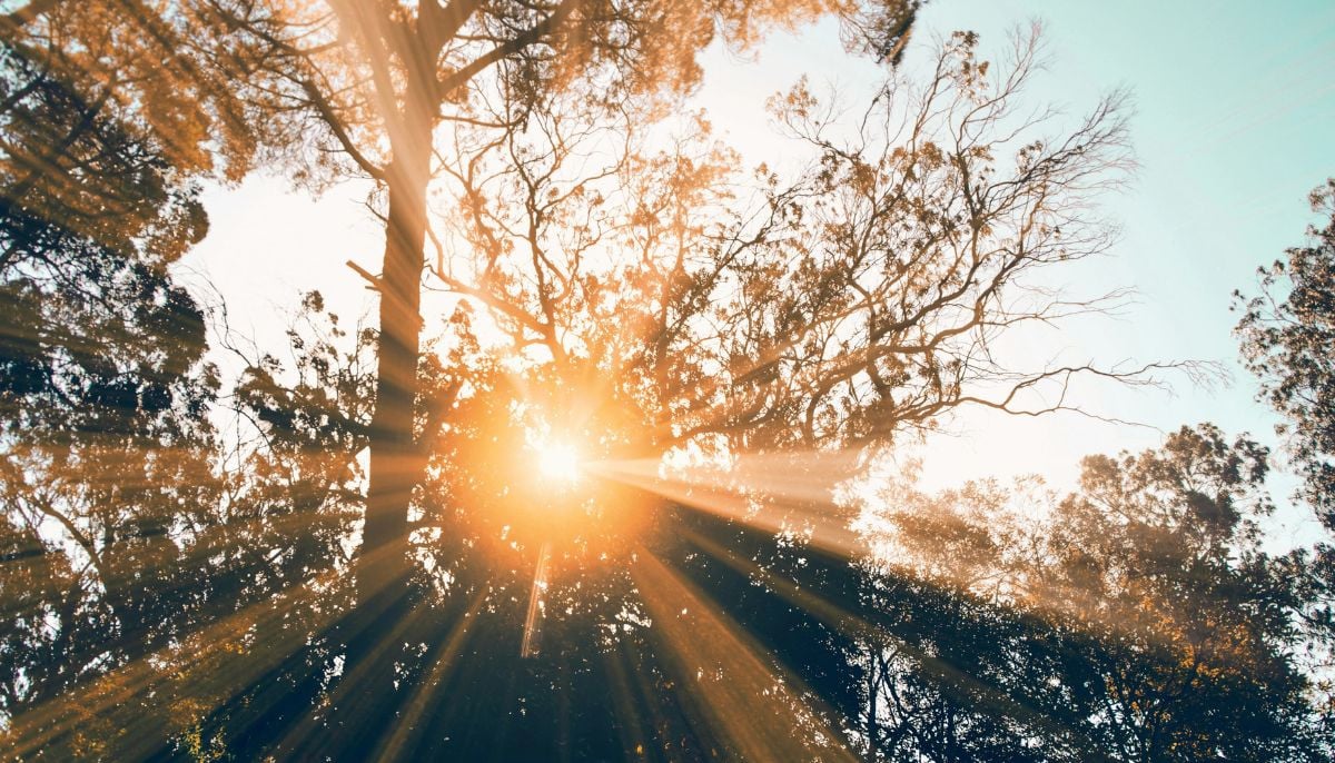 Doctor links morning sunlight to longer, healthier lifespan