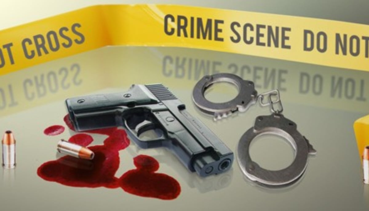 Minnesota man gets two life sentences for killing lawmaker, husband