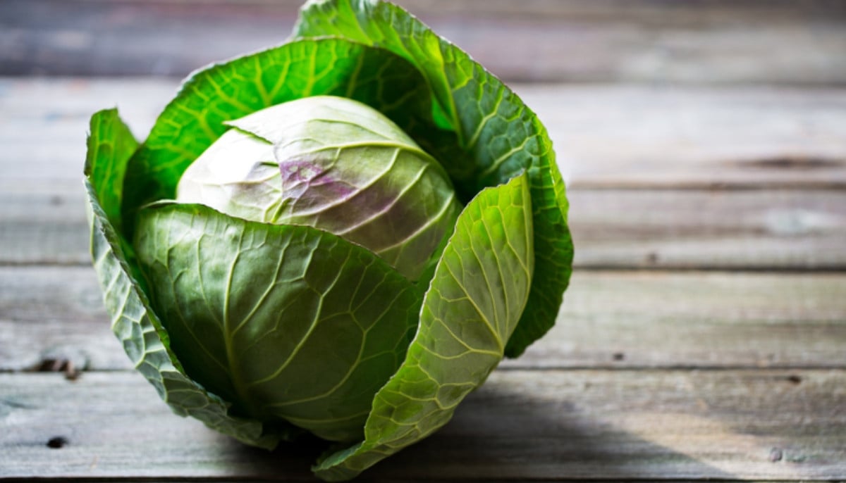 8 health benefits of eating cabbage regularly