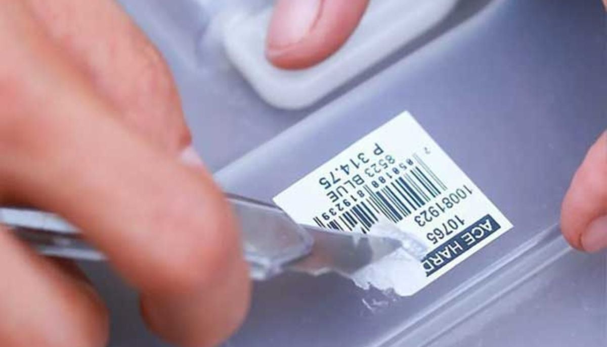 German companies pioneer adhesive-free paper packaging sealing methods