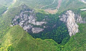 Scientists Discover an Ancient Forest Inside a Giant Sinkhole in China