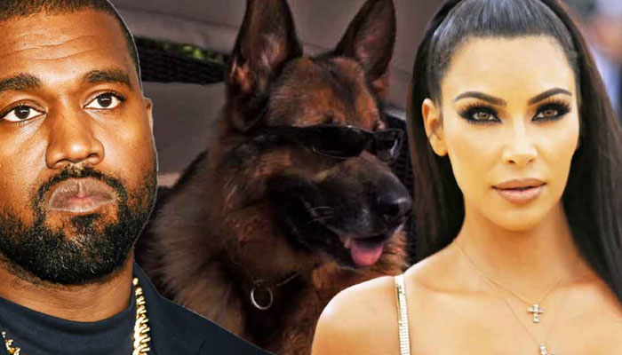 Kanye West valued less than THIS dog: Deets inside