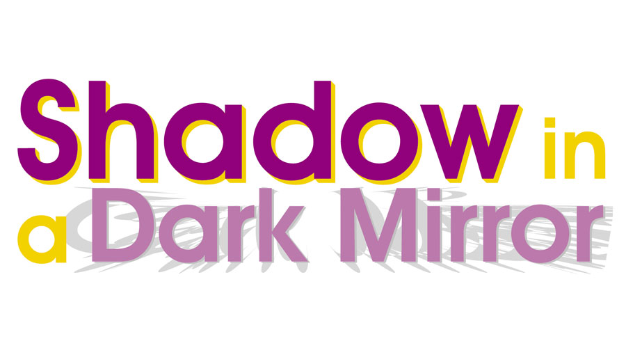 Shadow in a Dark Mirror