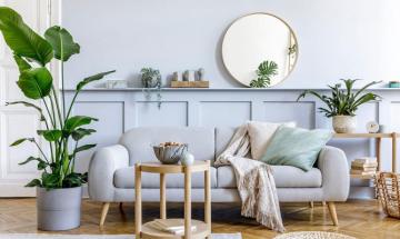 Elevate your home décor with bold and colorful new pieces