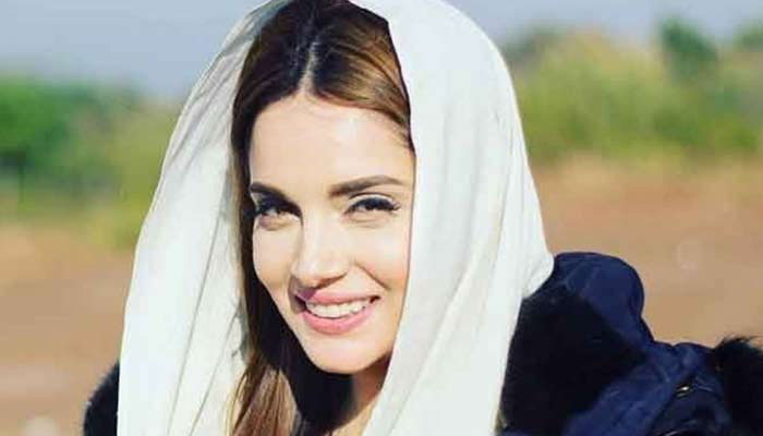 Armeena Rana Khan condems Maryam Nawazs lavish table spread, Nawaz fans react