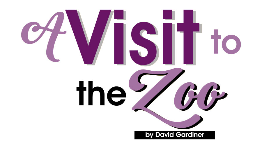 A tale of memories and nostalgia: A Visit to the Zoo