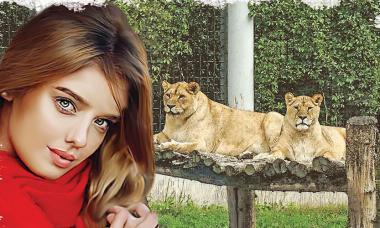 A tale of memories and nostalgia: A Visit to the Zoo