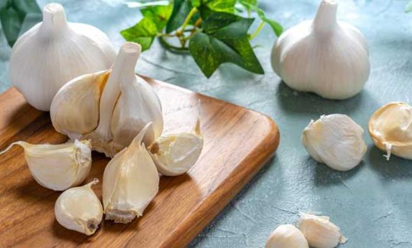 Garlic helps preventing common cold and the flu