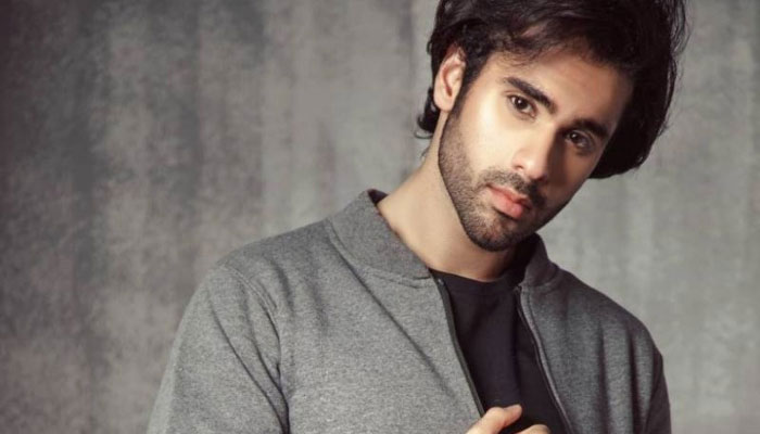 Ameer Gilani sheds light on his ideal life partner