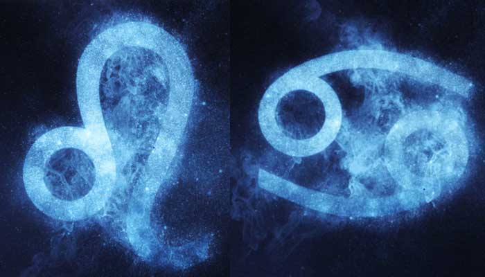 Leo Compatibility with other zodiac signs: Heres how to find a perfect match