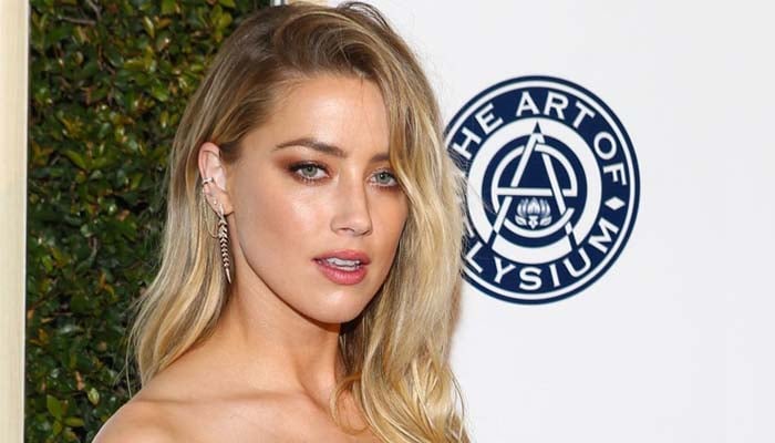 Amber Heard dog import case concludes without further charges