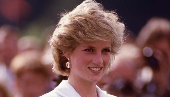 Princess Diana black sheep sweater makes auction history, sells for 1.1 Million dollars