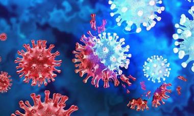 Disease X: WHO warns it could be 20 times deadlier than COVID-19