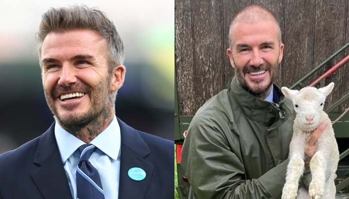 David Beckhams new buzzcut snap create social media buzz