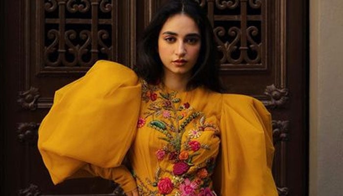 Mamya Shajaffar has been making waves in the Pakistani showbiz industry for the last couple of years,