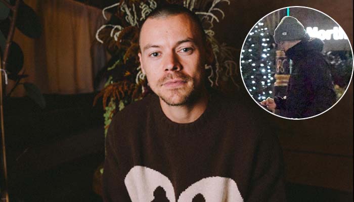 Harry Styles conceals buzzcut while savoring sushi in North London