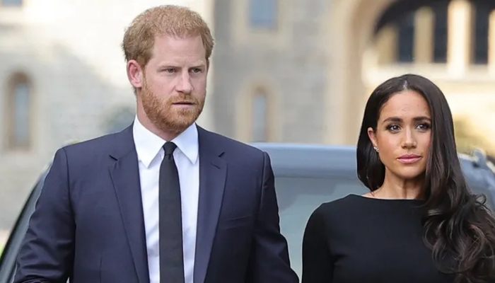 Prince Harry, Meghan Markle coaxed to speak out in support in King Charles