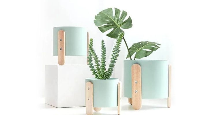 How to use green in your house to spruce up your space