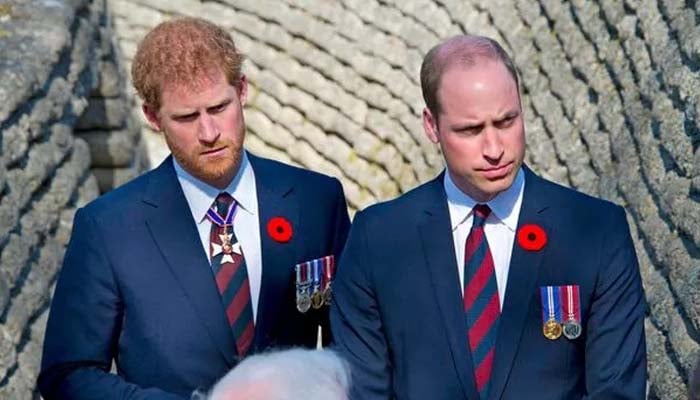 The Crown spotlights Prince Harrys sibling rivalry in latest season