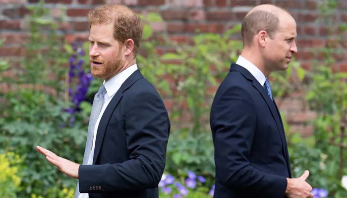Will Prince Harry and Prince William reunite next year?
