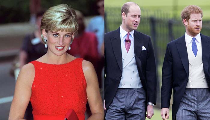 Princess Diana hoped William and Harry would always have each others back