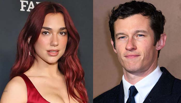 Dua Lipa and Callum Turner confirm romance rumours with recent PDA