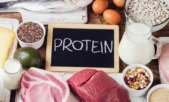 7 high protein foods that aid in weight loss and muscle health