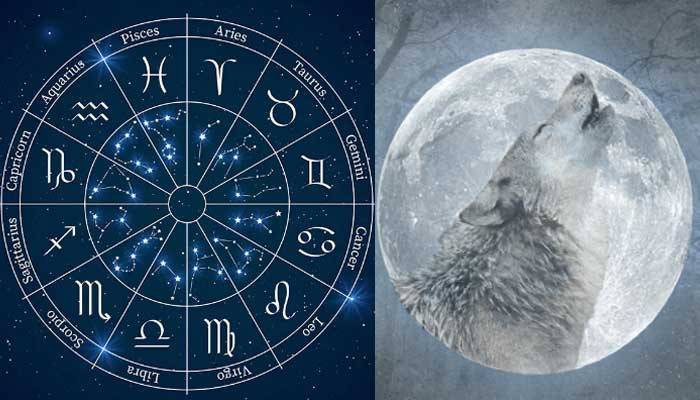 https://www.gossipherald.com/assets/uploads/updates/2024-01-24/19037_040607_heres-how-2024s-first-wolf-full-moon-in-leo-will-impact-your-zodiac-sign_updates.jpg