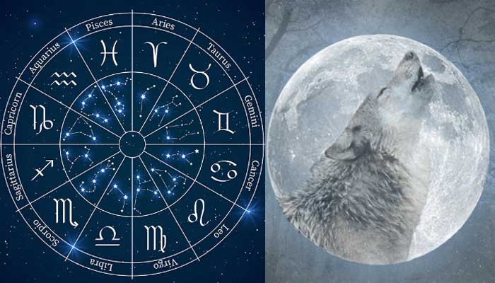 Here’s how 2024s first Wolf Full Moon in Leo will impact your zodiac sign