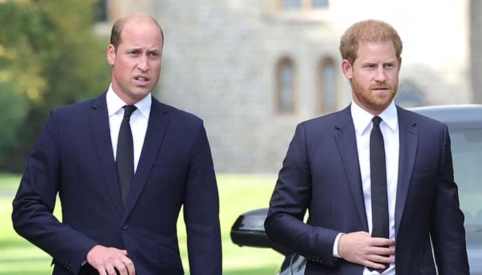 Prince Harry criticized for lack of early discipline by royal experts