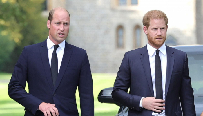 Prince Harry and William relationship become more strained: Heres why
