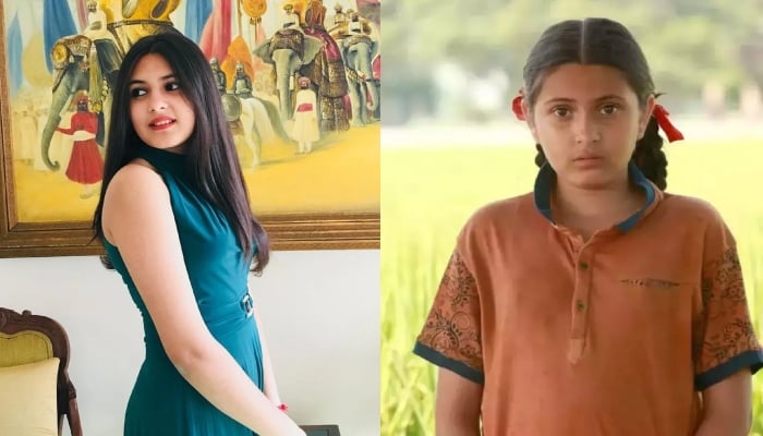 Dangal star Suhani Bhatnagar breaths her last at 19