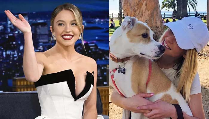 Sydney Sweeney credits her rescue dog Tank for mental health support