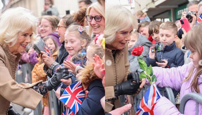 Queen Camilla expresses gratitude for kind wishes to Kate Middleton: Catherine is thrilled