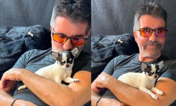 Simon Cowell melts hearts with adorable puppy photos: 'fallen in love'