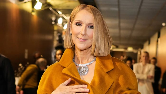 Céline Dion fondly remembers ‘very, very touching’ moment at 2024 Grammys