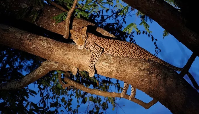Top 5 incredible travel experiences you wont want to miss in 2025