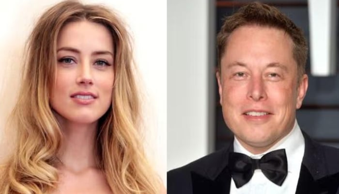 Elon Musk, Amber Heards embryo legal battle takes shocking turn