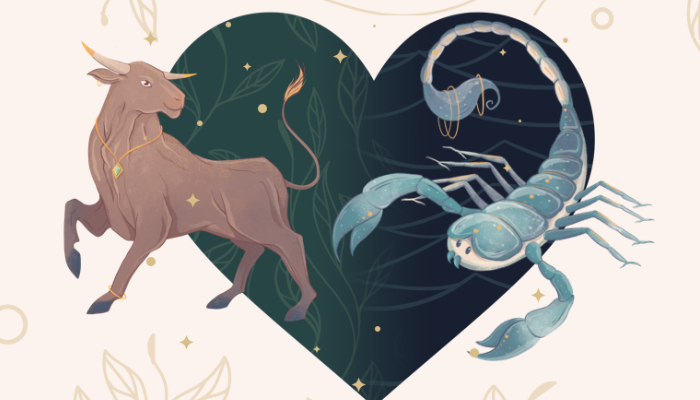 Taurus man and Scorpio woman show power struggle but at a healthy level