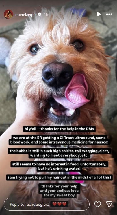Rachel Zegler stresses out as her pups health deteriorates