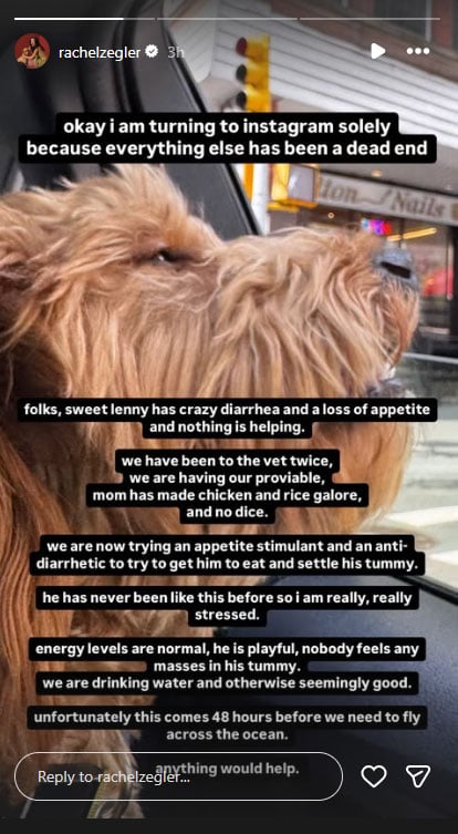 Rachel Zegler stresses out as her pups health deteriorates