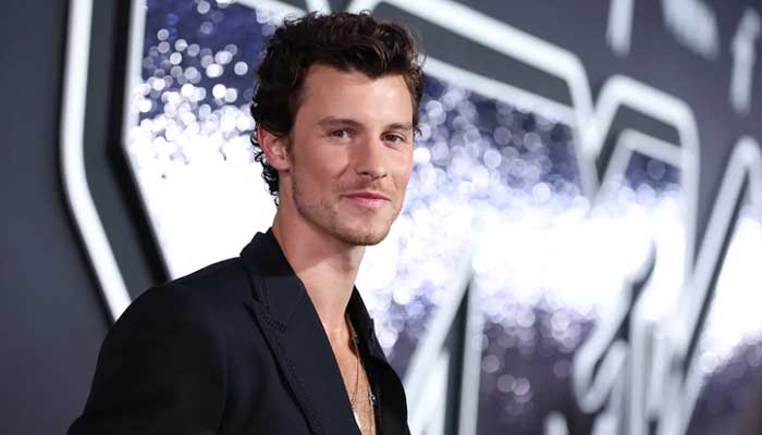 Shawn Mendes spotted with Portuguese singer MARO in LA
