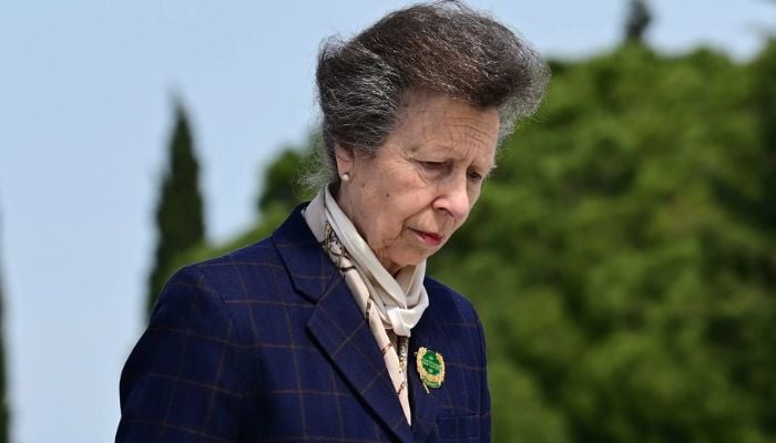 Princess Anne suffers painful injury before major event