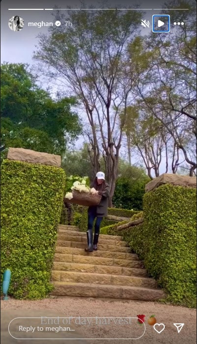 Meghan Markle wows fans with details from her impressive garden