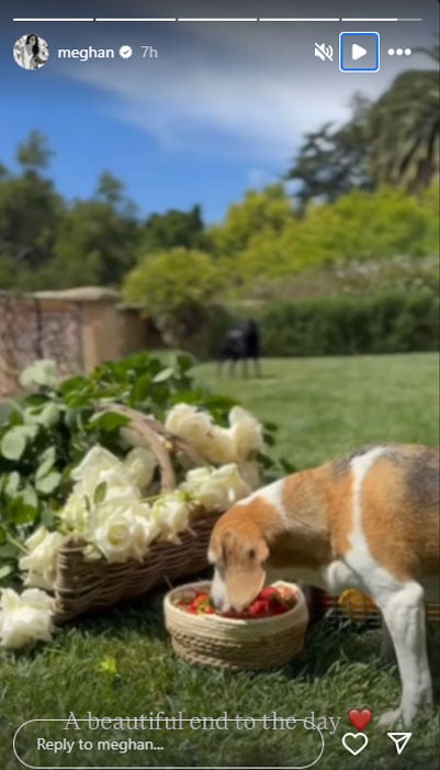 Meghan Markle wows fans with details from her impressive garden