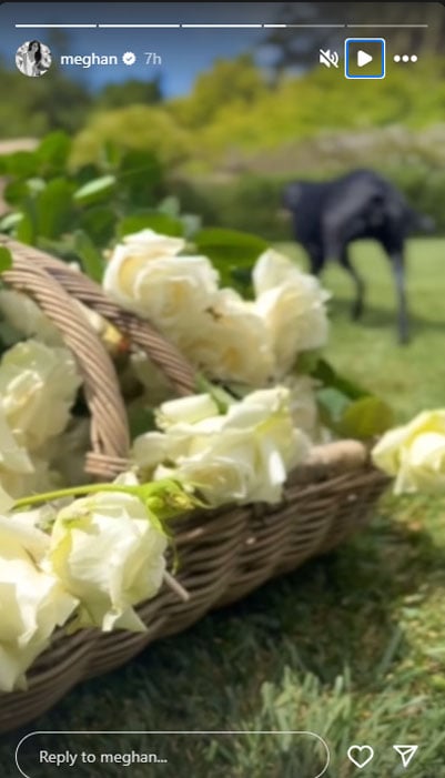Meghan Markle wows fans with details from her impressive garden