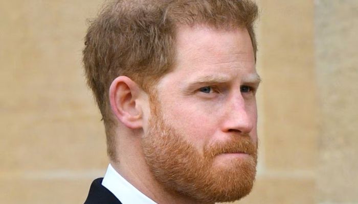 Prince Harry loses legal battle over UK security